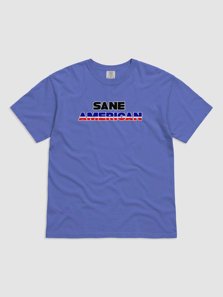 Sane American T-Shirt product image (1)