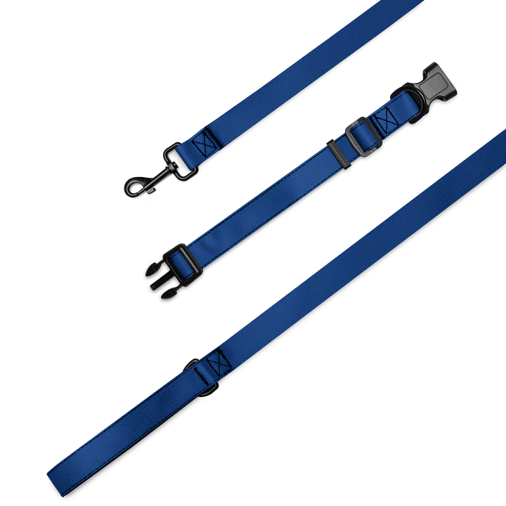 Lucky Dog Blue Pet Collar & Leash Set 06 product image (1)