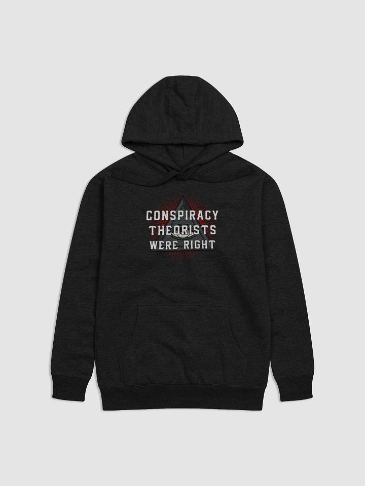 Conspiracy Theorists Were Right! - Premium Hoodie product image (1)