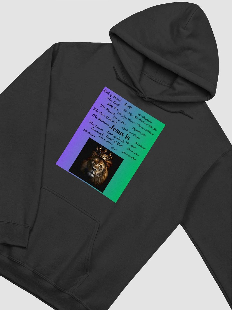 Jesus Is King Unisex Hoodie product image (2)