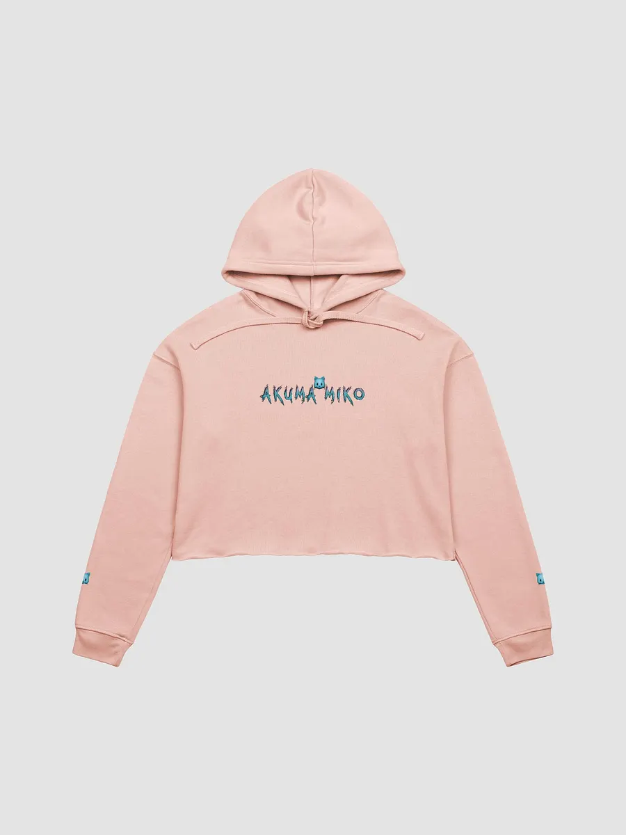 Akuma Miko Crop Hoodie product image (1)