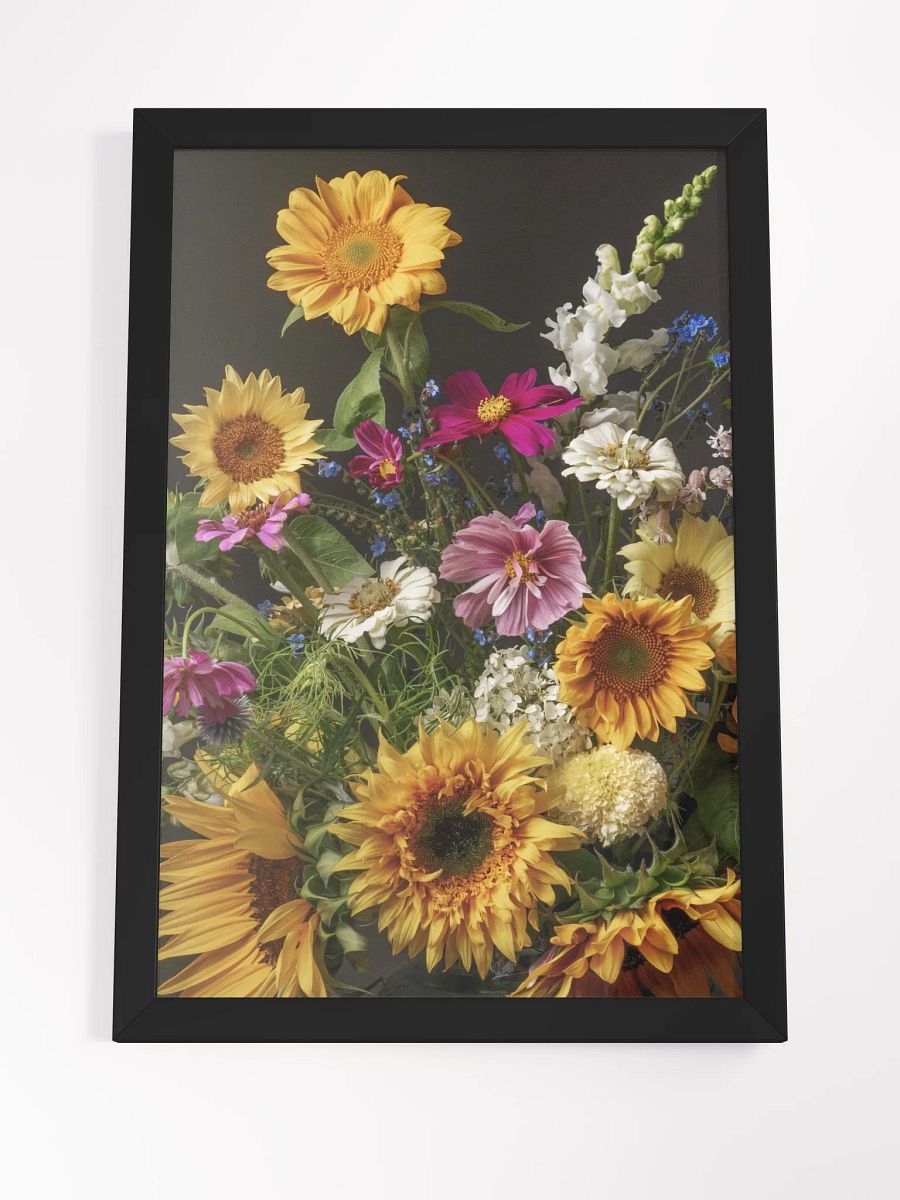 Bright Summer Sunnies product image (4)