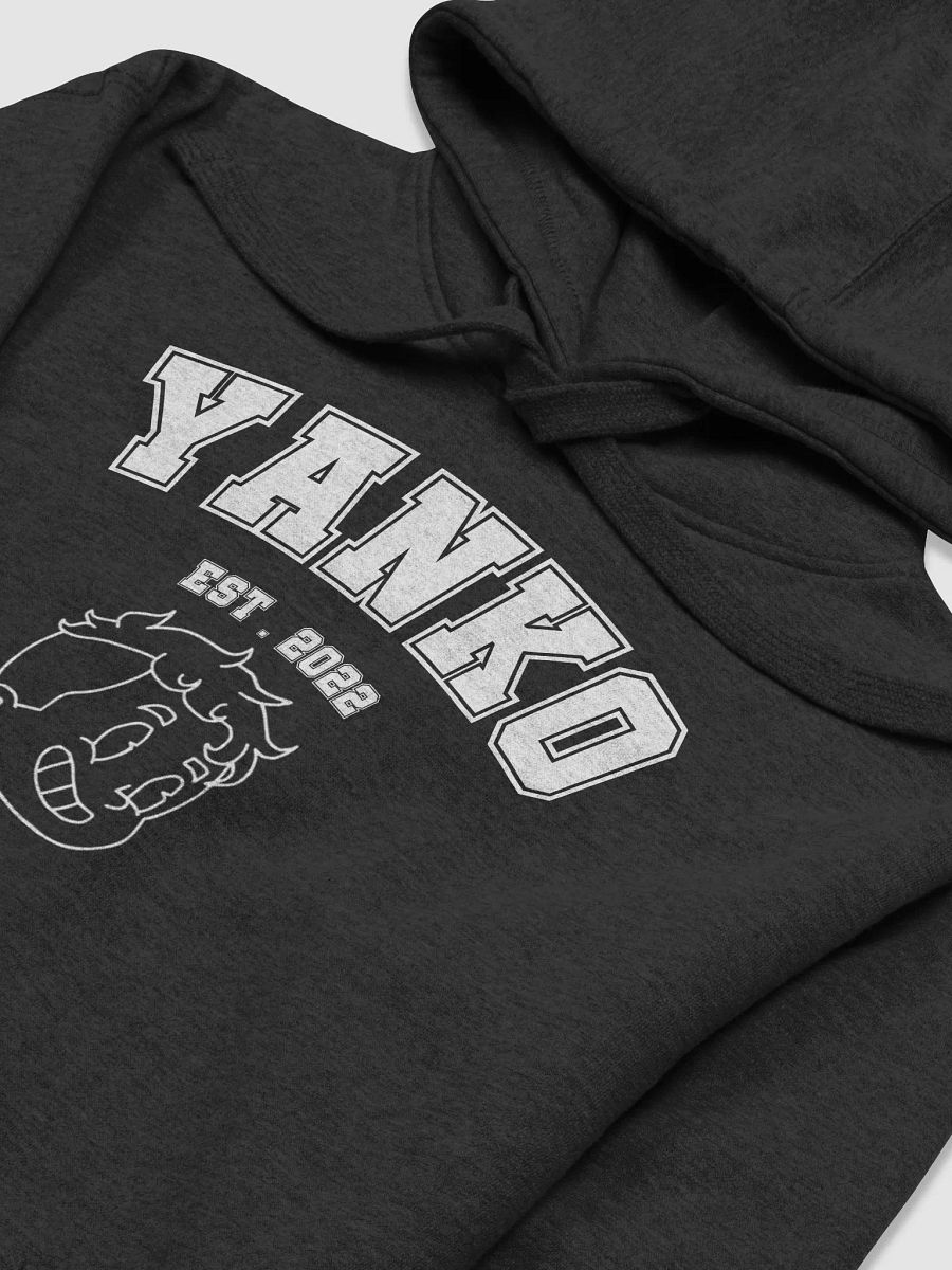 YANKO HOODIE product image (16)