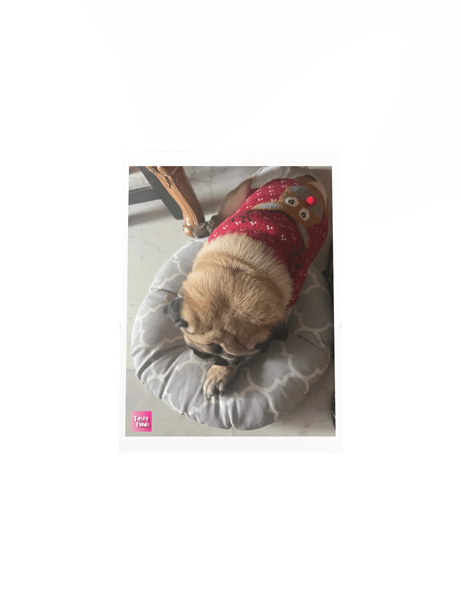 Pug Poster product image (4)