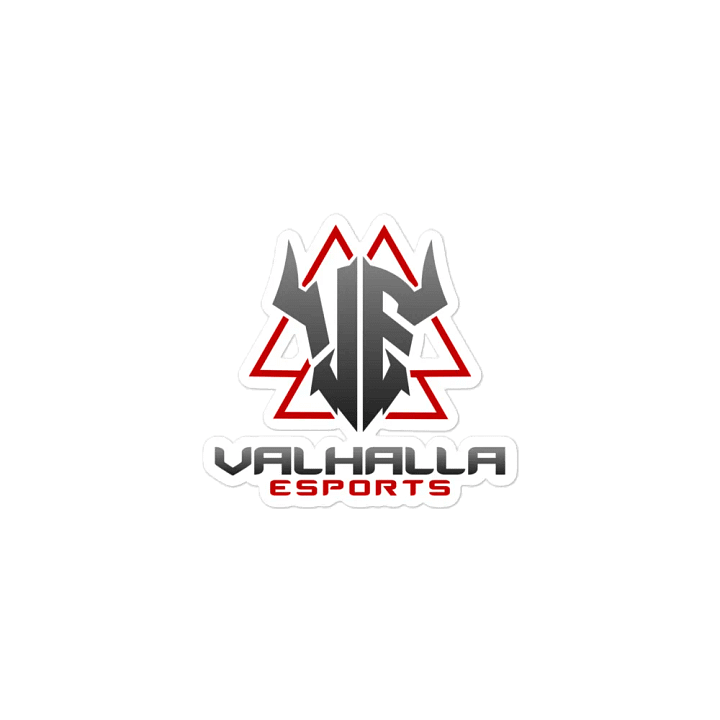 VE Magnet product image (2)