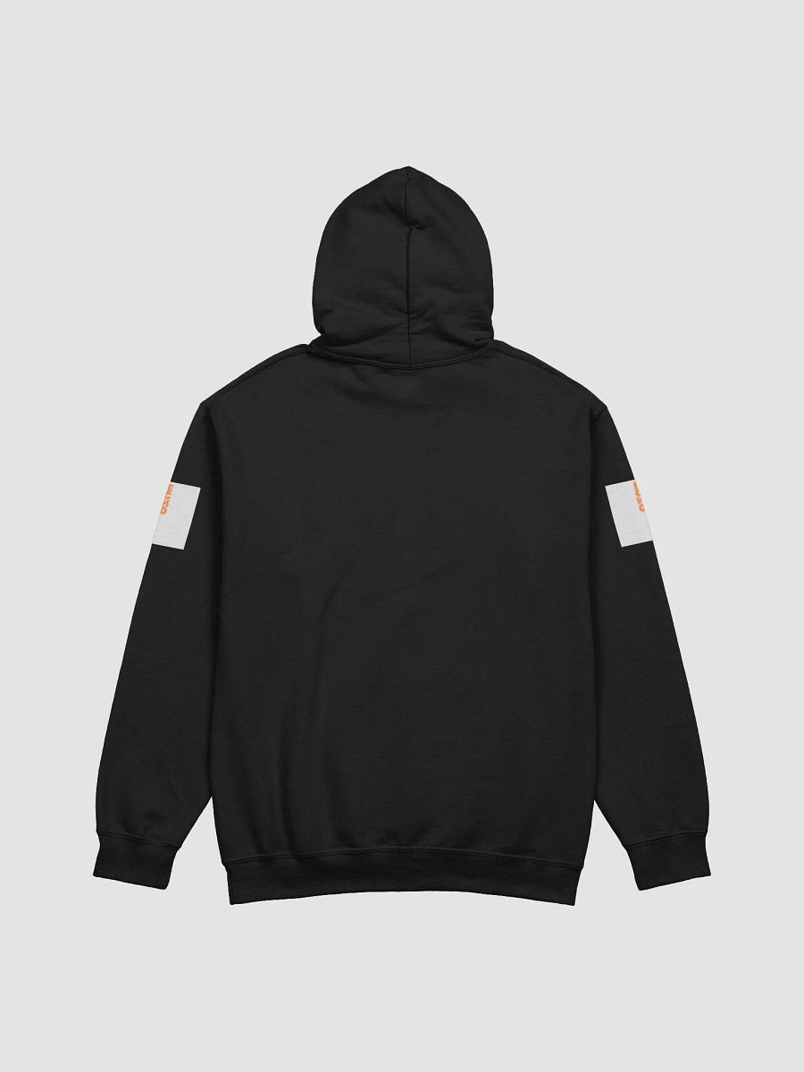Women Distressed Classic Hoodie product image (3)