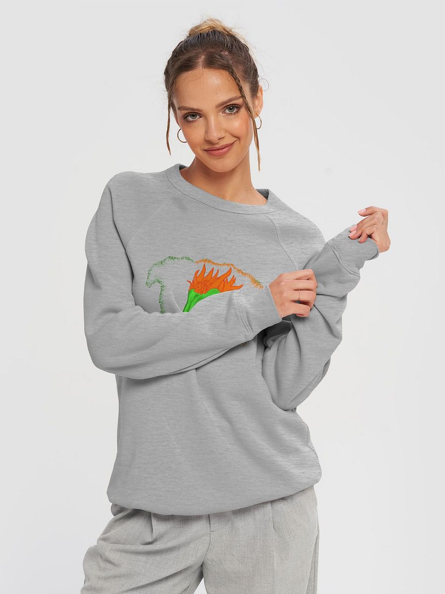Dragon's Fury Raglan Sweatshirt product image (3)