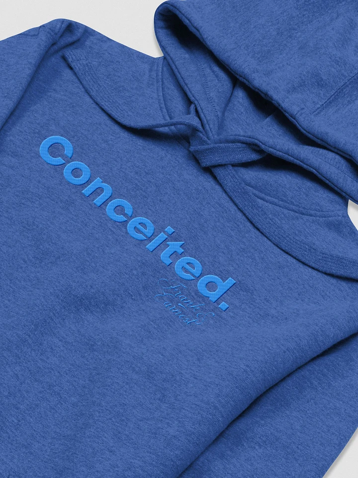 Concieted Embroidered Hoodie F&E1 product image (1)