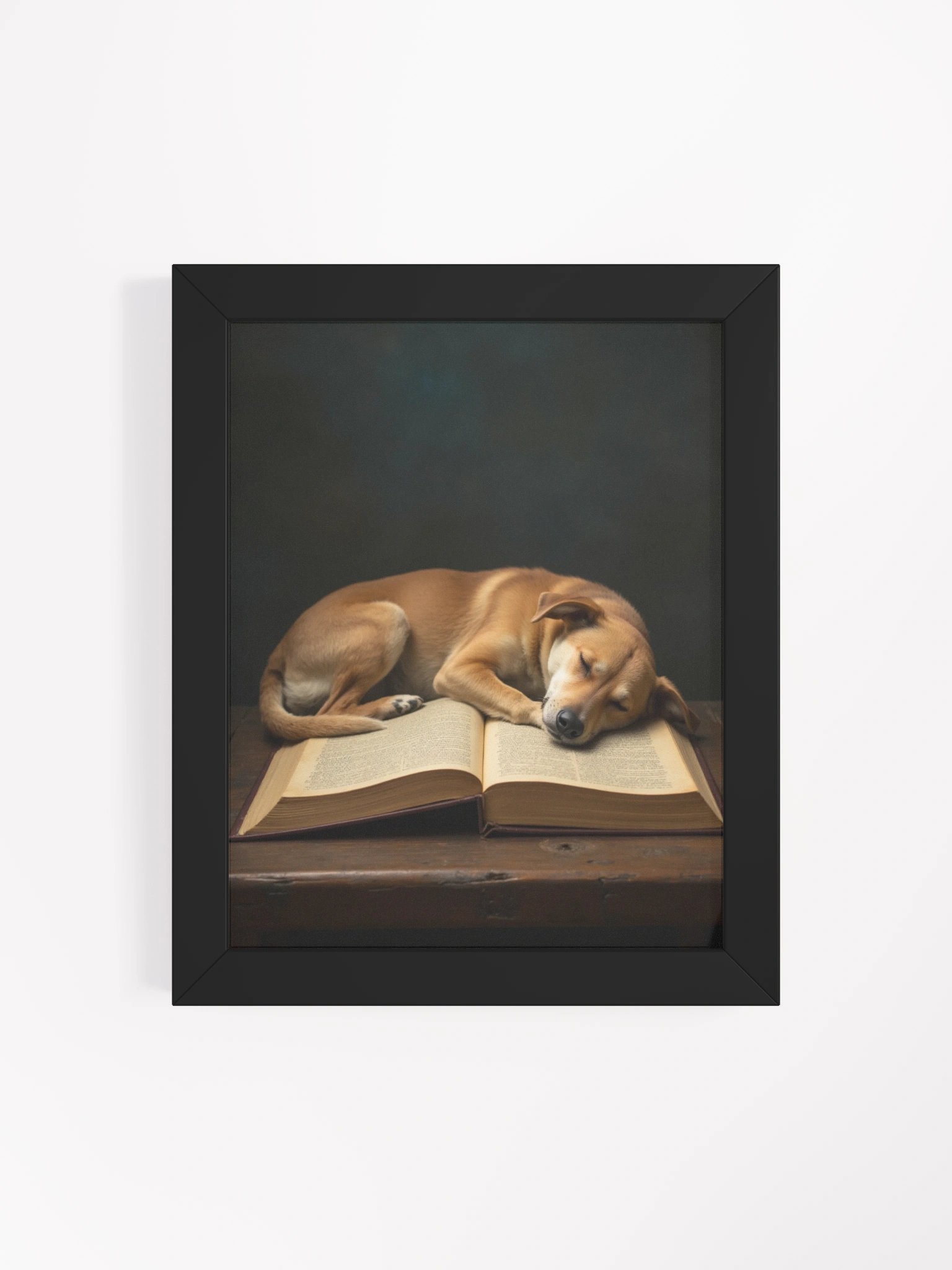 Sleeping Potcake Framed Picture 2 product image (47)