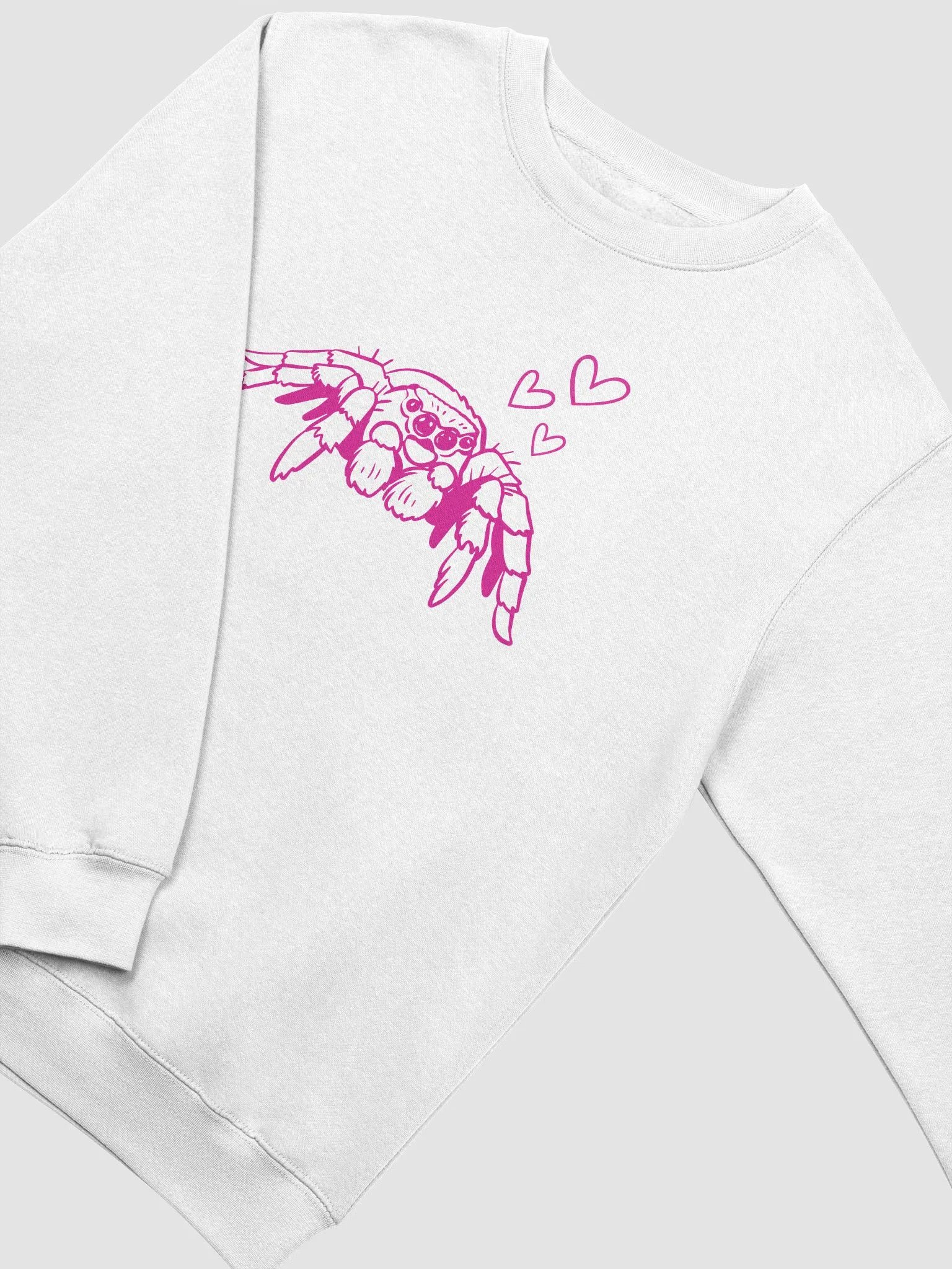 spoody sweatshirt product image (3)