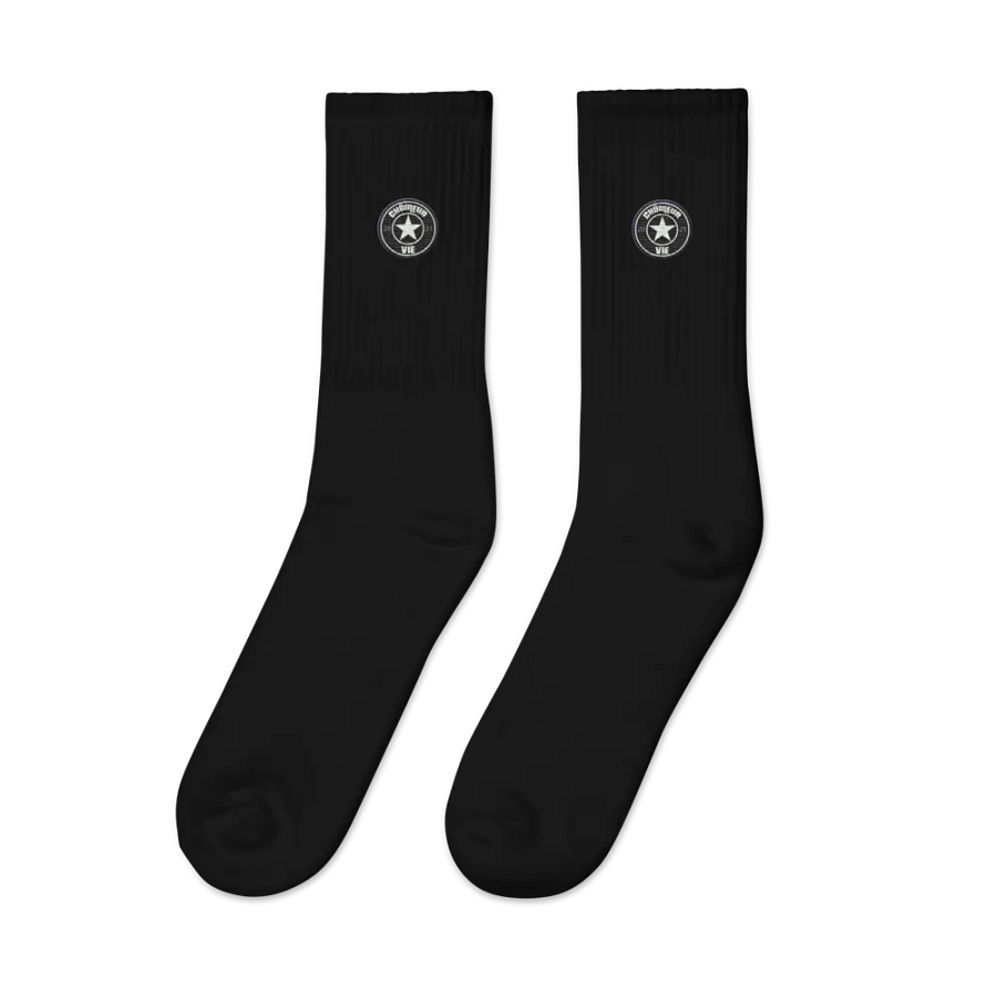 CHAUSSETTE CHÔMEUR VIE product image (8)