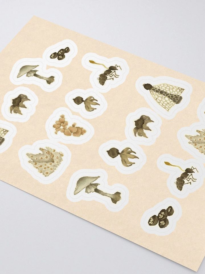 Mycology product image (2)