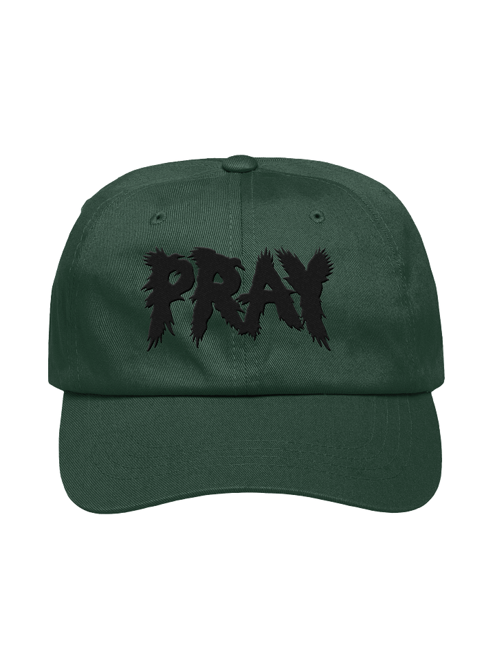 Birds Of Pray Relaxed Hat product image (1)