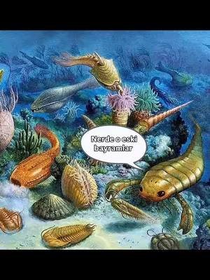 Çok mu yaşlandık arkadşlr? #fyp #foryou #viral #funny #nostalgia #trend  #NeredeOEskiBayramlar #comedy #prehistoric #meme #relatable #tiktoktrend #ZamanYolculuğu #BayramMizahı #komik 