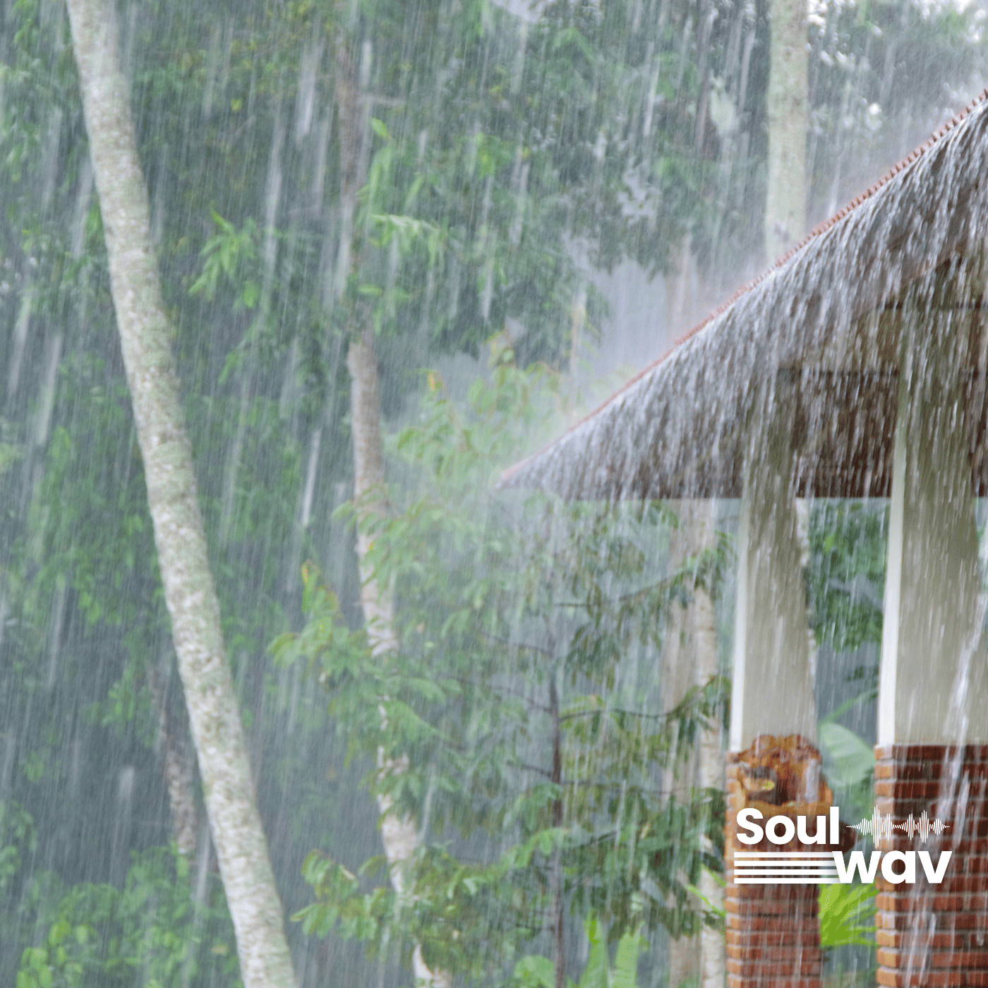 Stormy Reverie – Ambient Guitar, Piano & Rain-Drenched Atmospheres 🌩️🎸🎹 product image (1)