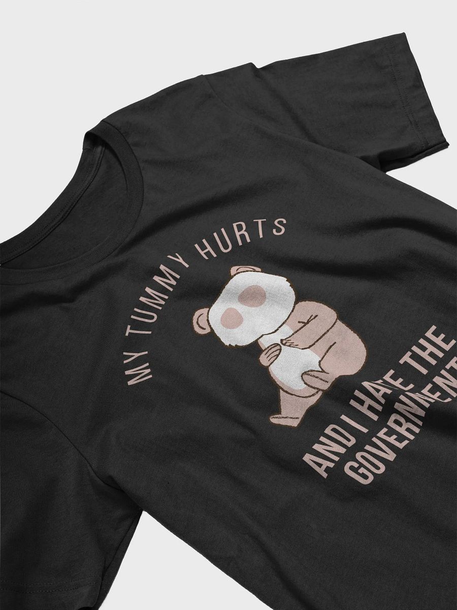 My Tummy Hurts and I Hate The Government product image (11)