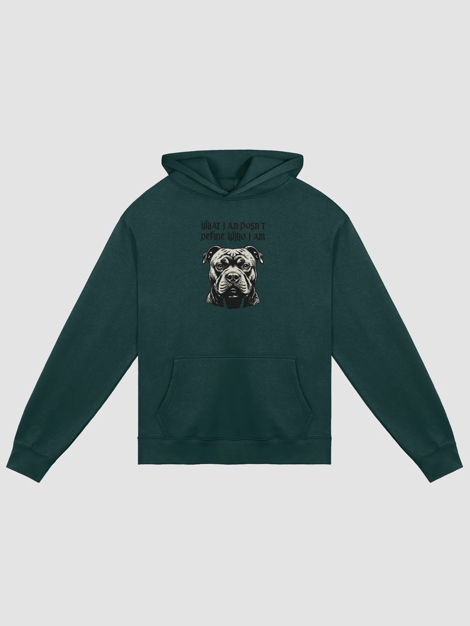 Momentary Paws Unisex Oversized Hoodie product image (3)