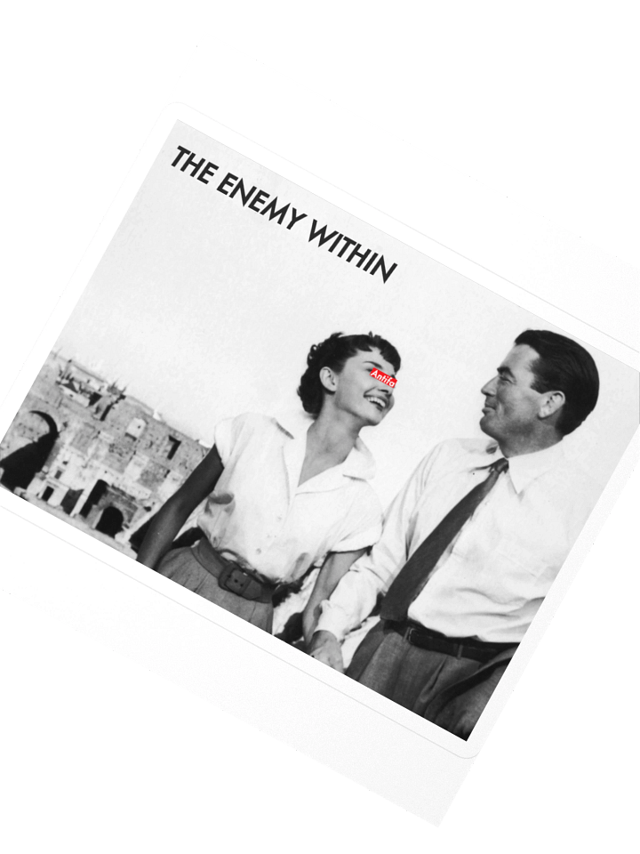 The Anti-Fascionista Sticka product image (2)