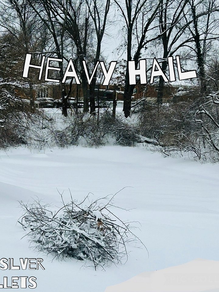 Heavy Hail (MP3 File) product image (1)