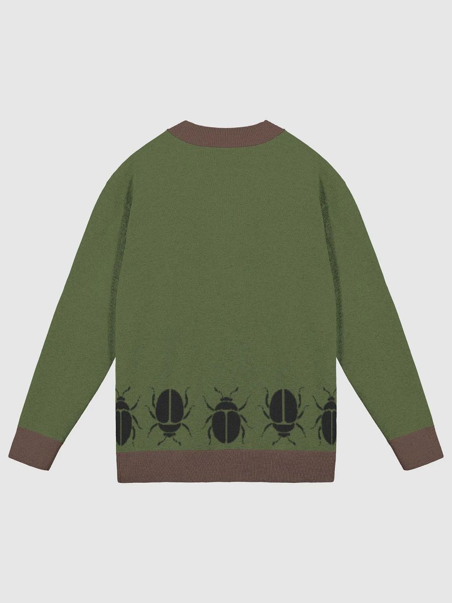 The Green Beetle Sweater product image (8)