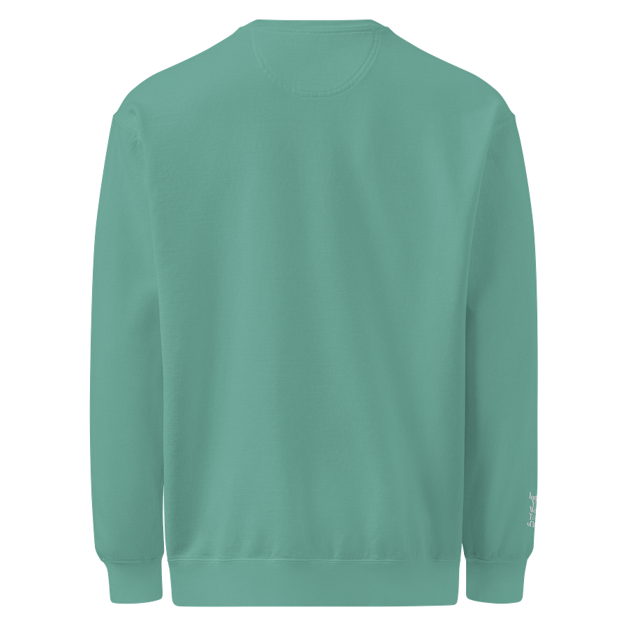 Shine Crewneck product image (6)