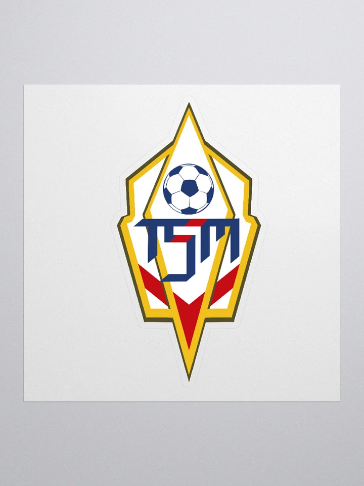 TSM Logo Sticker product image (1)