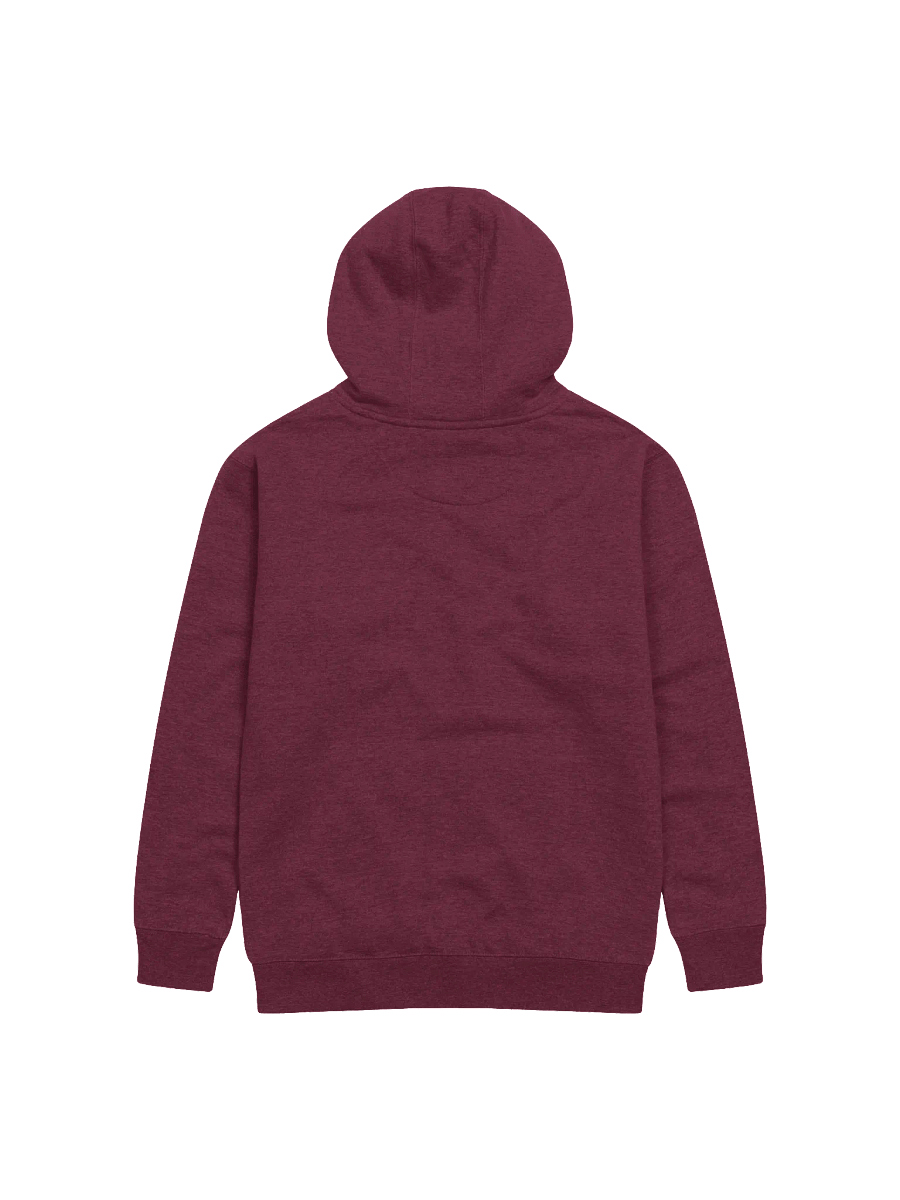 Oregon Born Intertwined - Hoodie product image (3)