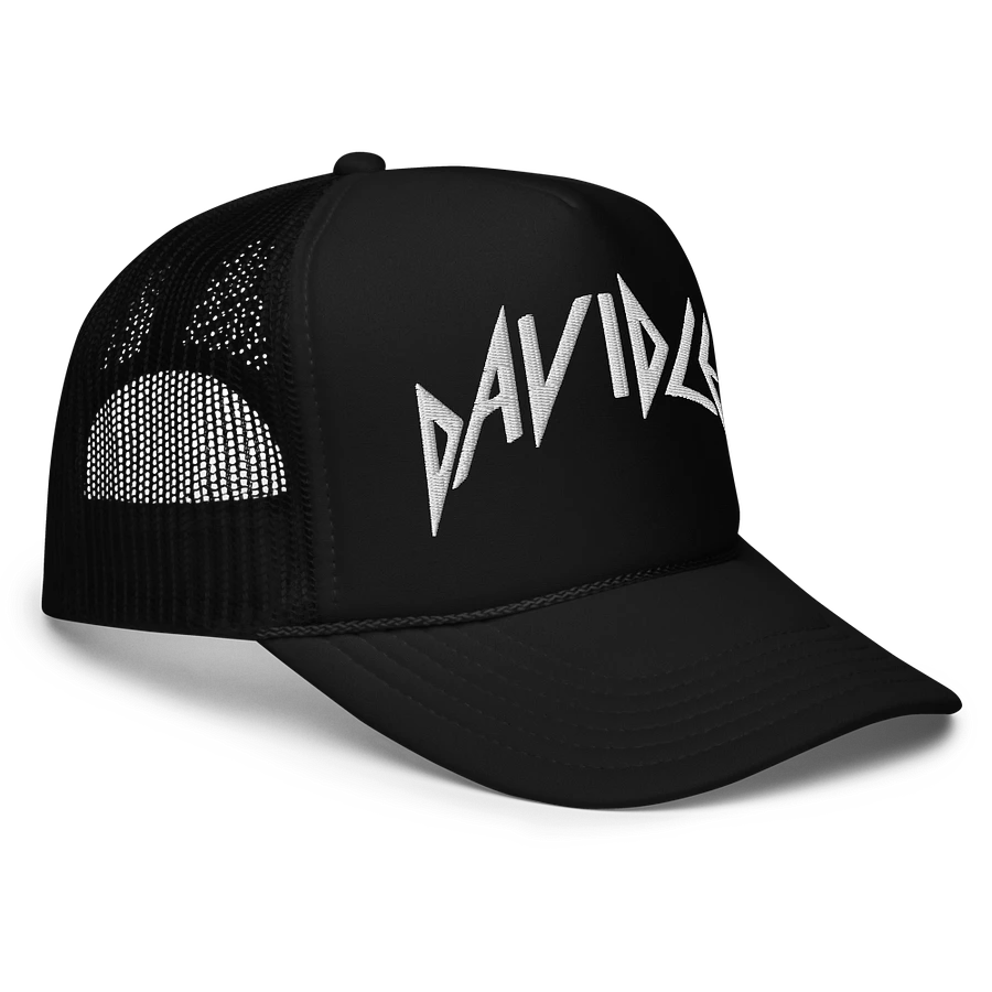 David Lee Embroidered Hat product image (3)