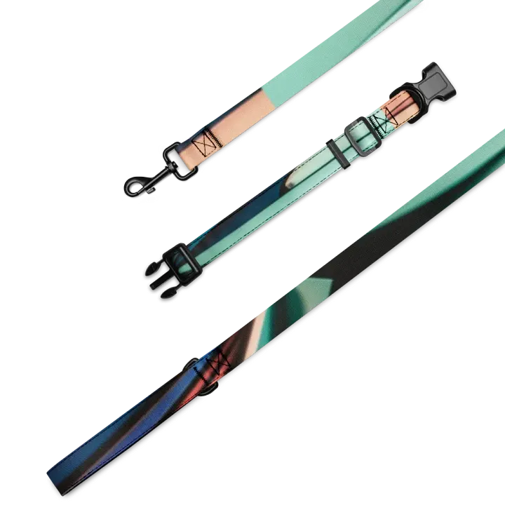 Harmonious Hues Pet Collar & Leash Set product image (2)
