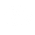 87.8 Survivor FM