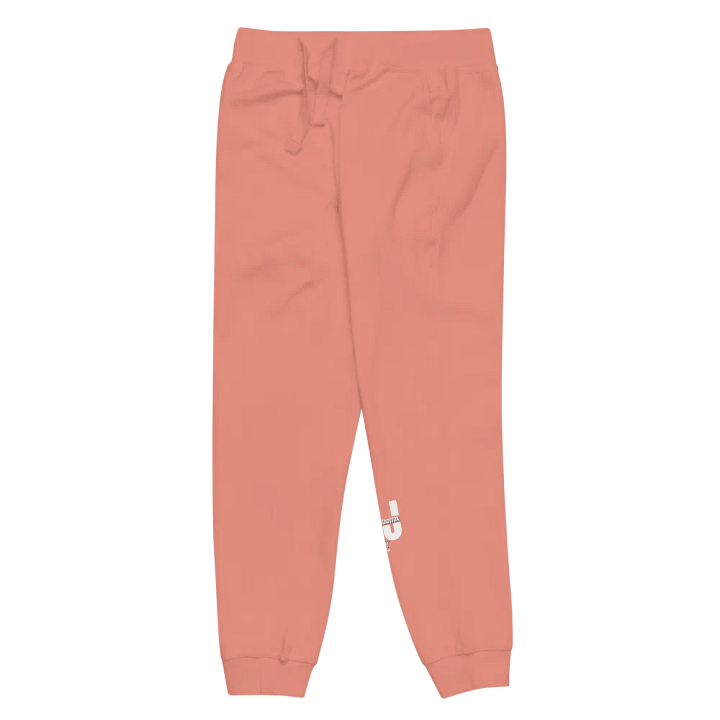Unisex Fleece Sweatpants - DJ Series product image (2)