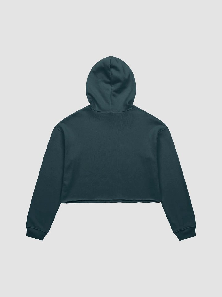 RTX JAMS Crop Top Hoodie product image (9)