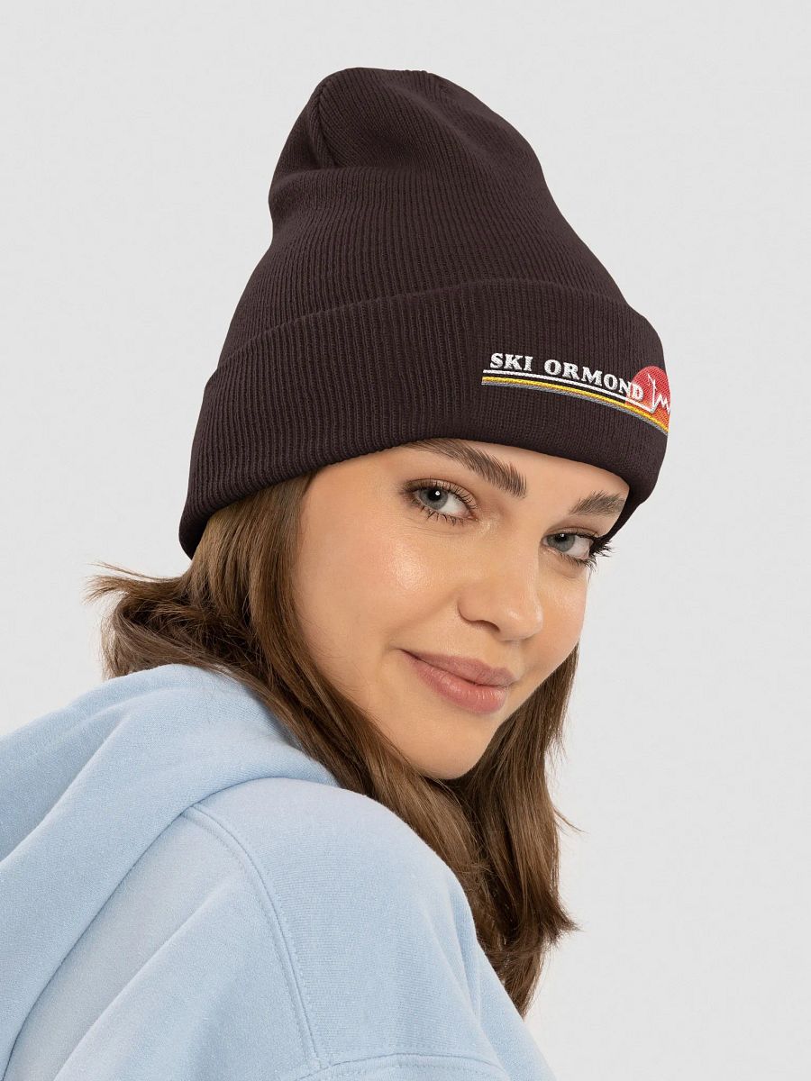 Ski Ormond Beanie product image (19)