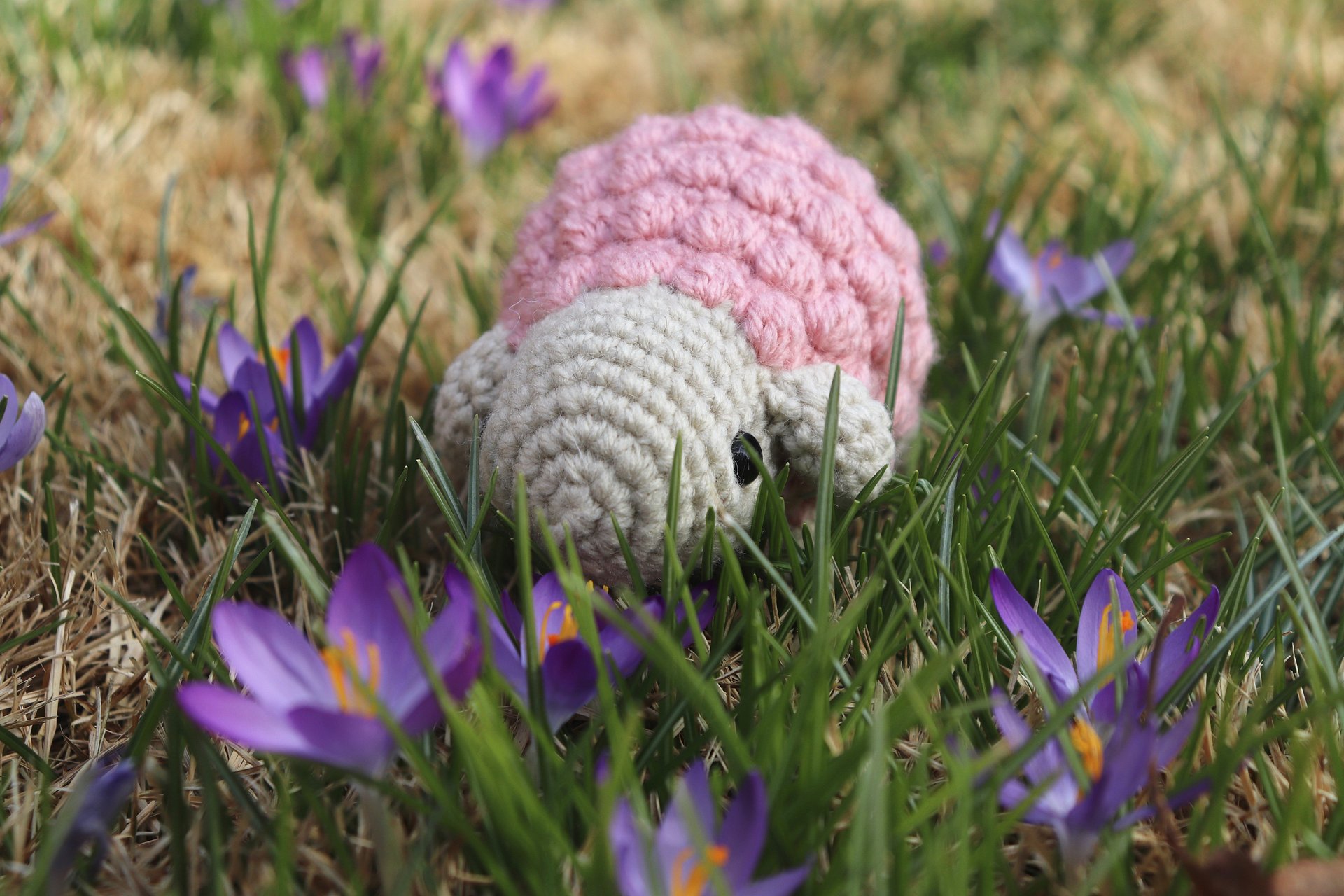 Cheerful Sheep PDF product image (4)