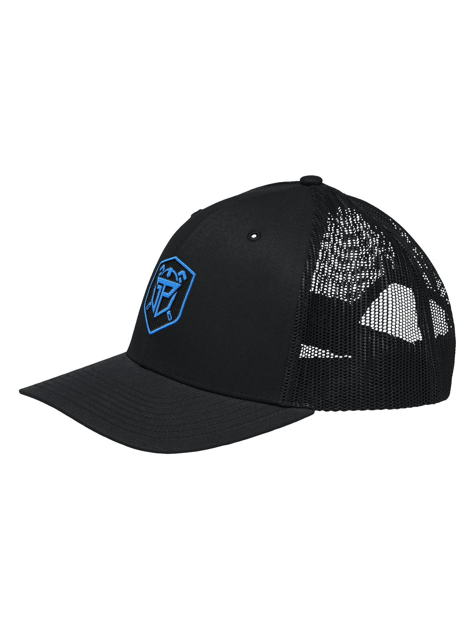 LEGACY HAT (BLUE LOGO) product image (2)