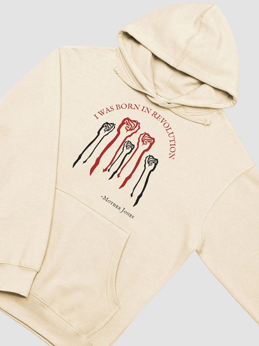 Born in Revolution Mother Jones Adult Hoodie product image (10)