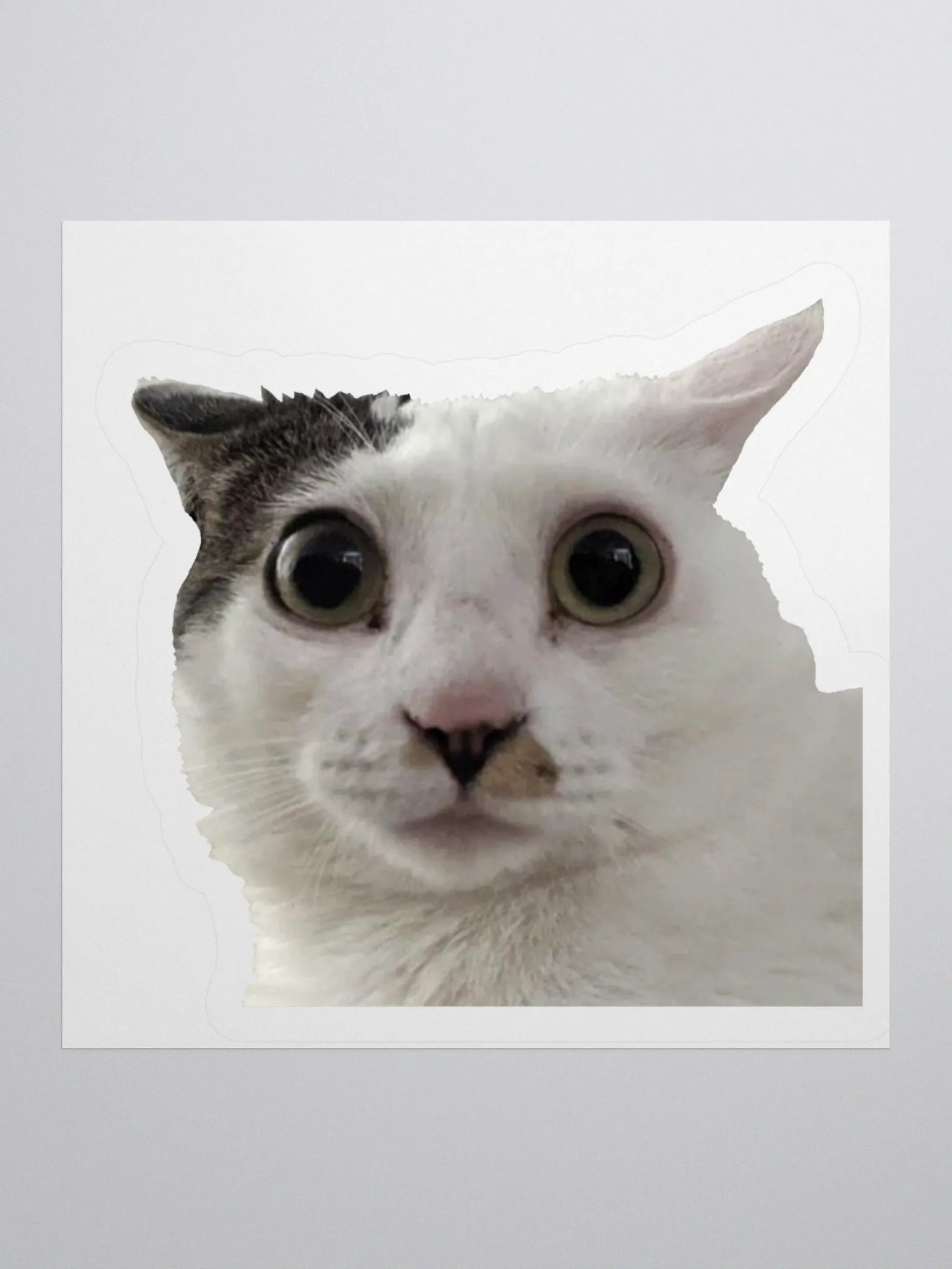 Jia Sticker product image (1)
