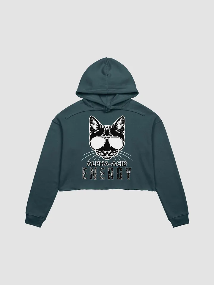 Alpha-Acid Energy Crop Hoodie product image (2)
