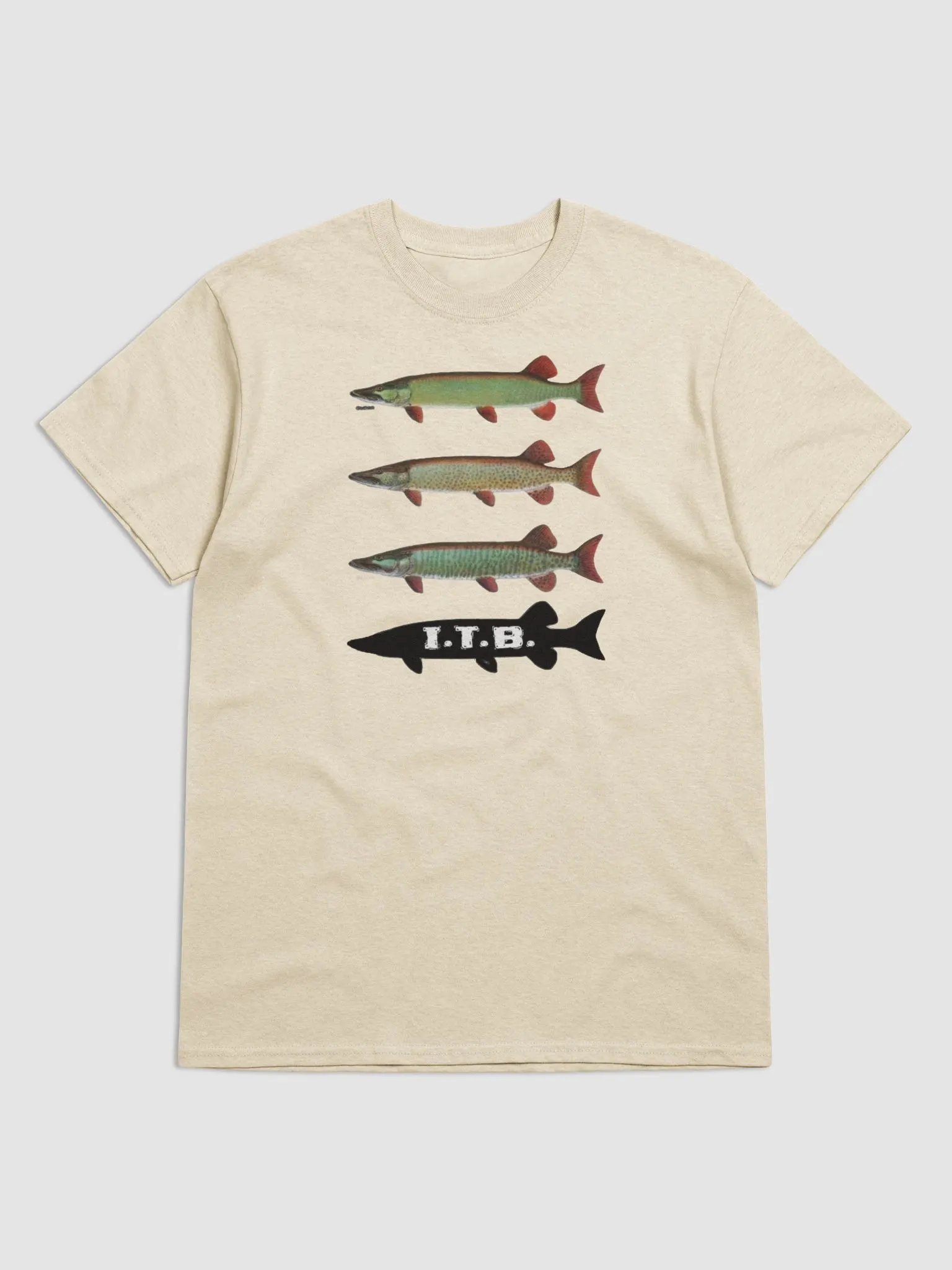 Clear, Spotted, Barred Tee product image (31)