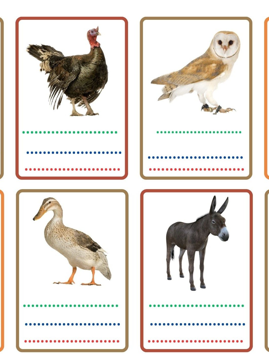 Pictures & Words: Vocabulary / صور وكلمات: المفردات product image (3)