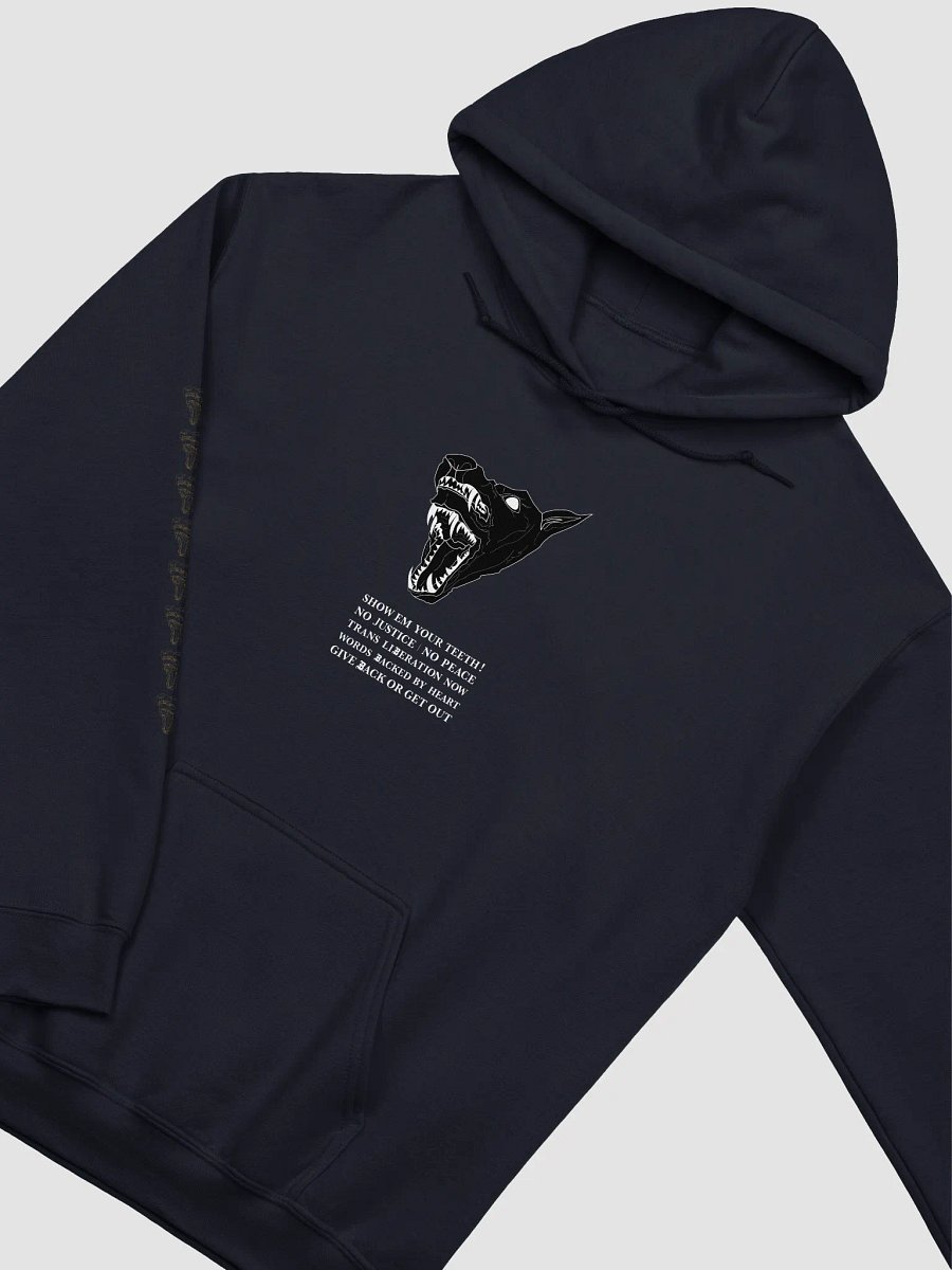 Show Em hoodie 2 product image (3)