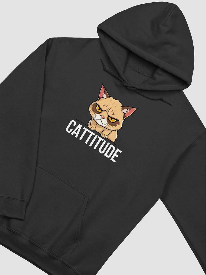 cattitude 2 hoodie product image (8)