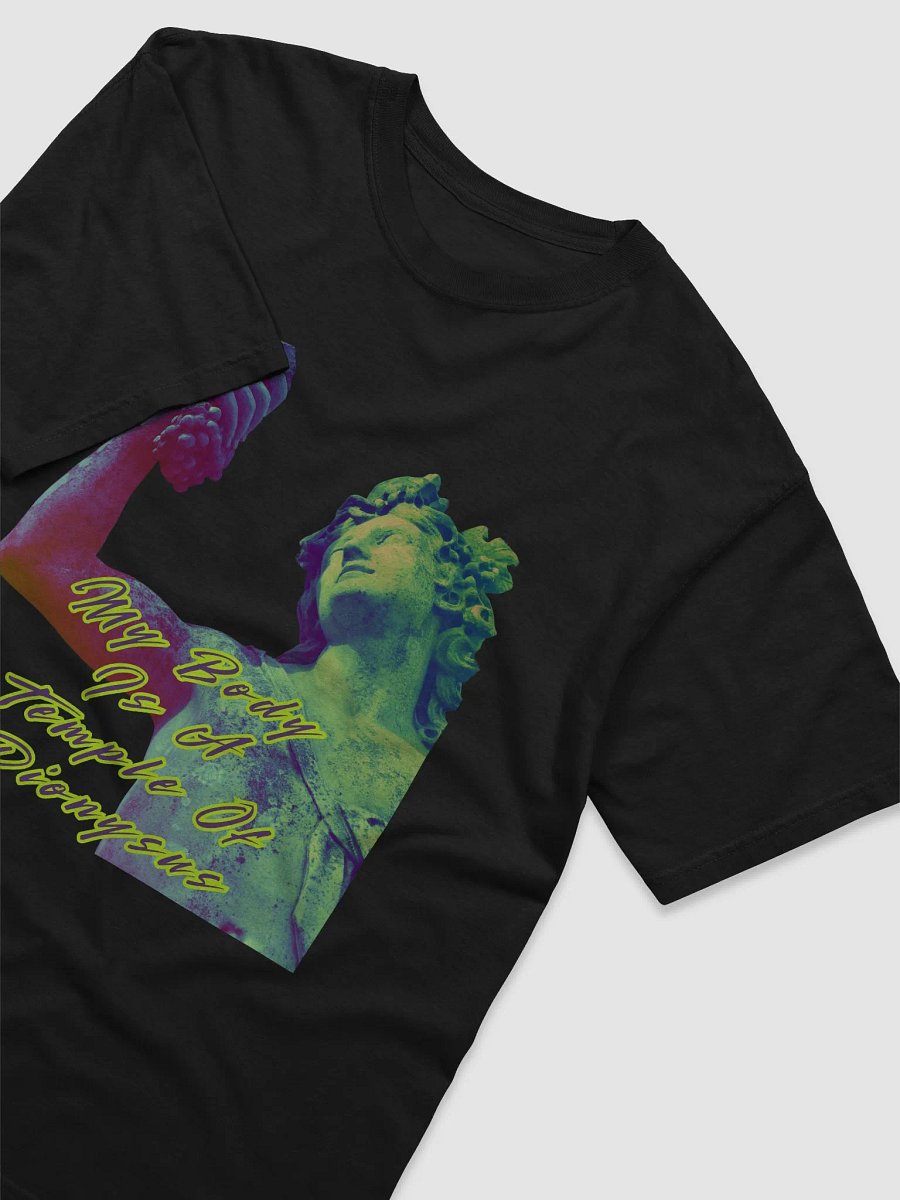 Temple of Dionysus T-Shirt product image (12)