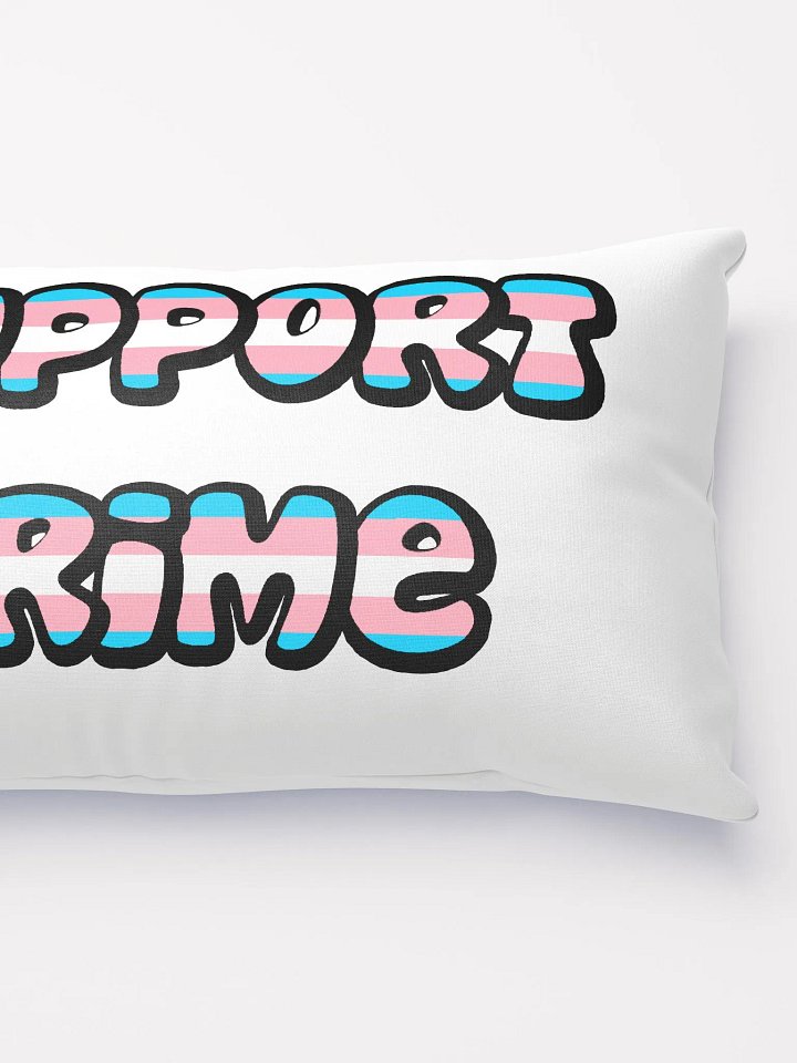 Trans Crime Decorative Pillow product image (2)