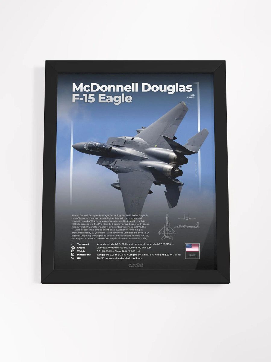 McDonnel Douglas (Boeing) F-15 Eagle Aviation Spec Poster product image (4)