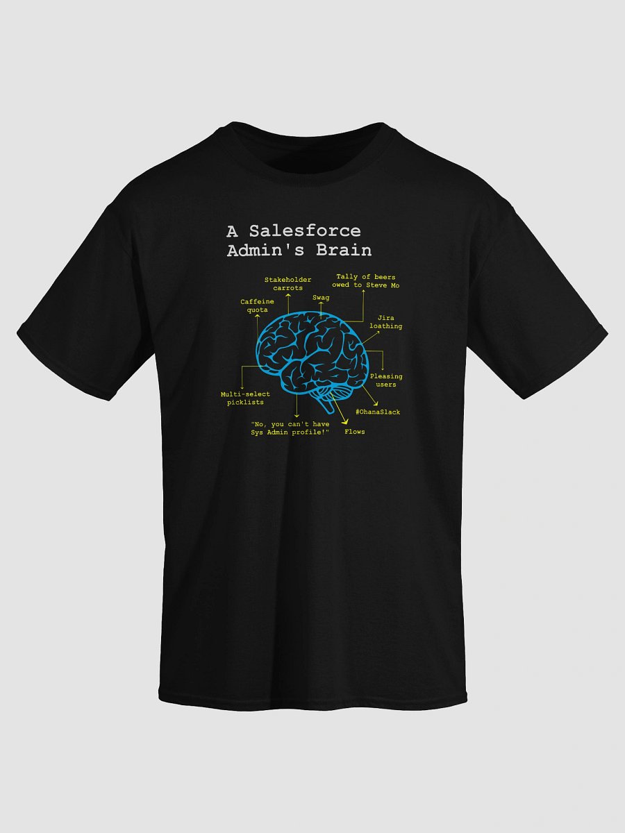A Salesforce Admin’s Brain product image (19)