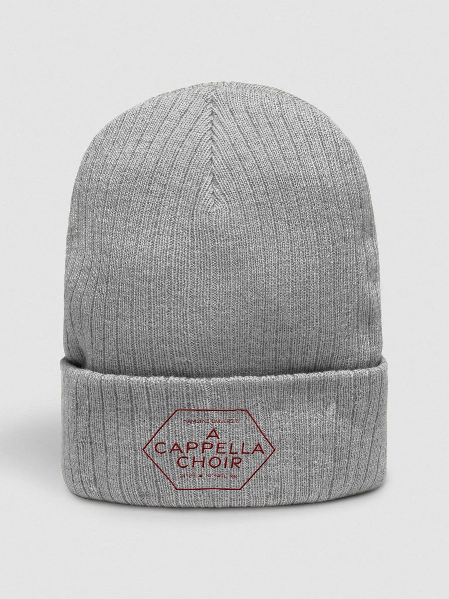 Hamline Acappella Hat 24-25 product image (1)