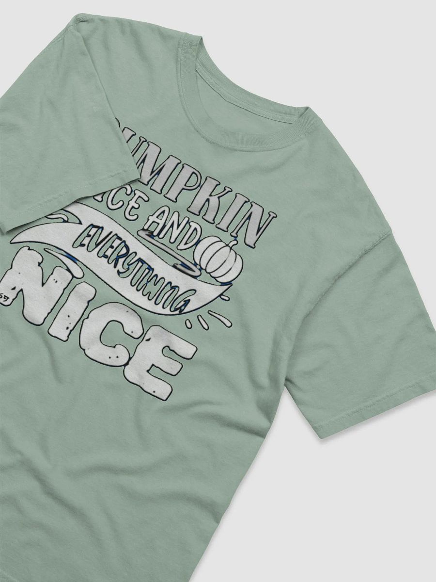 PUMPKIN SPICE AND EVERYTHING NICE product image (33)