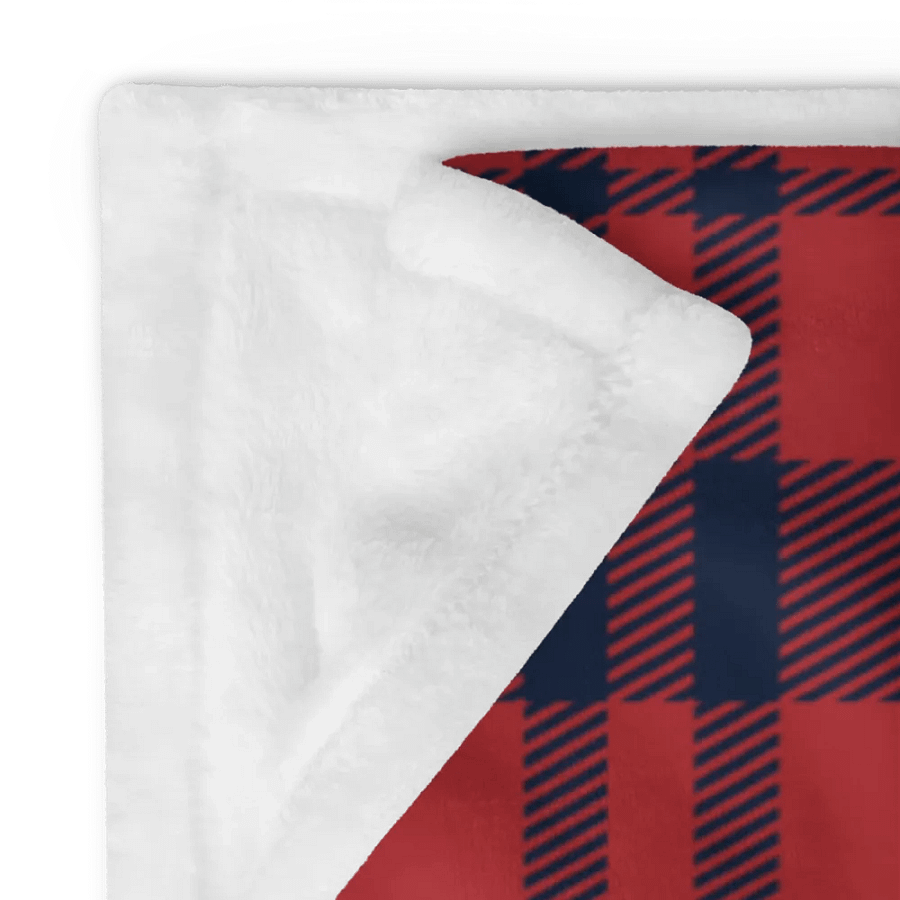 Plaid Bear Blanket product image (10)