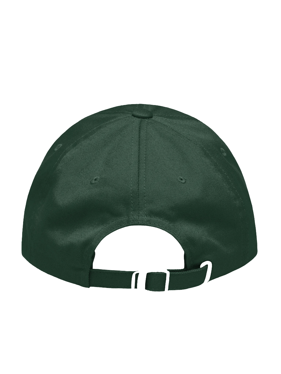 Make Roots Dad Hat product image (2)